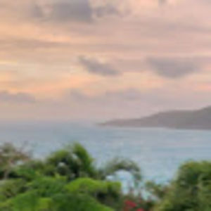 Meet your Posher, Annabelle